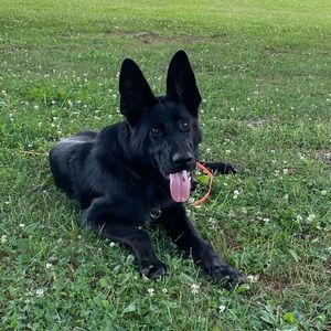 Meet your Posher, Mariesarah